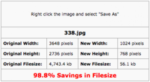 Optimization Results showing reduced image size and dimensions