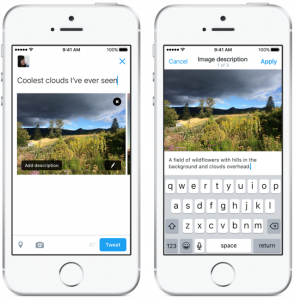 Screen shot of Twitter with Photo Description