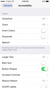 iOS accessibility menu screen shot